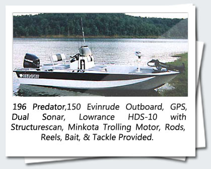196 Predator,150 Evinrude Outboard, GPS, Dual Sonar, Lowrance HDS-10 with Structurescan, Minkota Trolling Motor, Rods, Reels, Bait, & Tackle Provided.