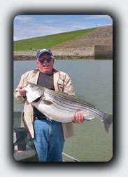 36lb 5oz Striper